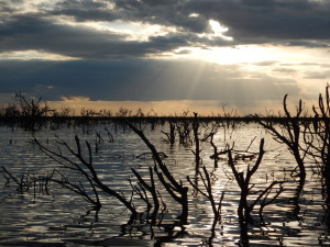 Lake Ngami sunset
