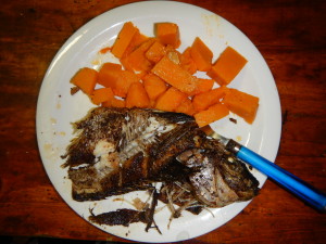 It is always good to study a species you can eat. Fried delta tilapia is delicious. And butternut squash is in season. 