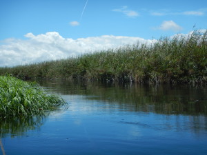 The main channel leading out of Guma Lagoon.