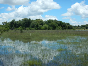 Guma Lagoon, one of our sampling sites.