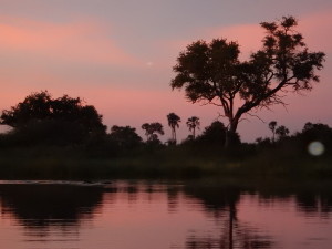 Sunset near Chief's Island, Okavango Delta