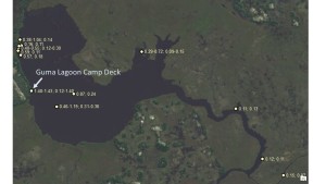 Map of Guma Lagoon shows dissolved oxygen levels (mg/L) at the surface and bottom of the river, measured March 6-9, 2016. We measured at all times of day Surface and bottom measurements separated by a semi-colon. The “bottom” of the river was either the actual bottom or at 4 meters if the depth was greater than 4 meters. 