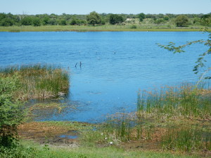 The Boteti River at Chanoga, Botswana.