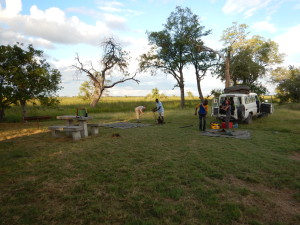 Setting camp in Moremi