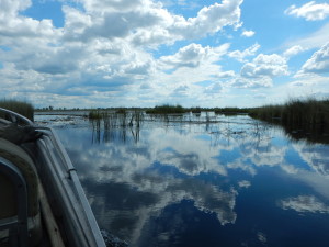 Moremi clouds