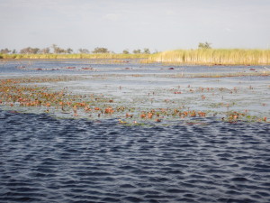 A lagoon surrounded by flood plains.