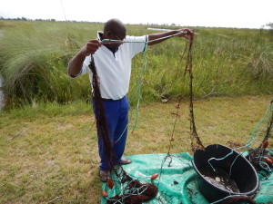 Moss holding the remnants of our net, which lost it's wrestling match with a crocodile, a hippo, or both.