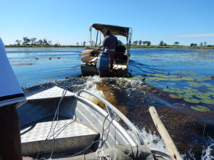 Rescue tow. We were grateful to see the last km fly by a bit faster.