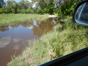 Dry route from Xakanaxa to Khwai. In fairness, this was the deepest water we had to cross - and we did make it with trailer in tow.