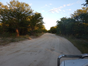 The road to Moremi.