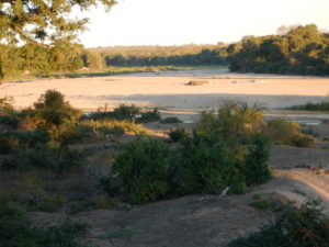 A dry river bed in Kruger.