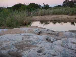 Kruger river with its stony shore.