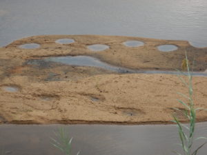 Old tilapia nests form circular depressions in the sand.