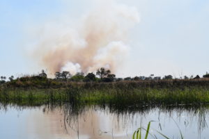 Wildfire in the Okavango